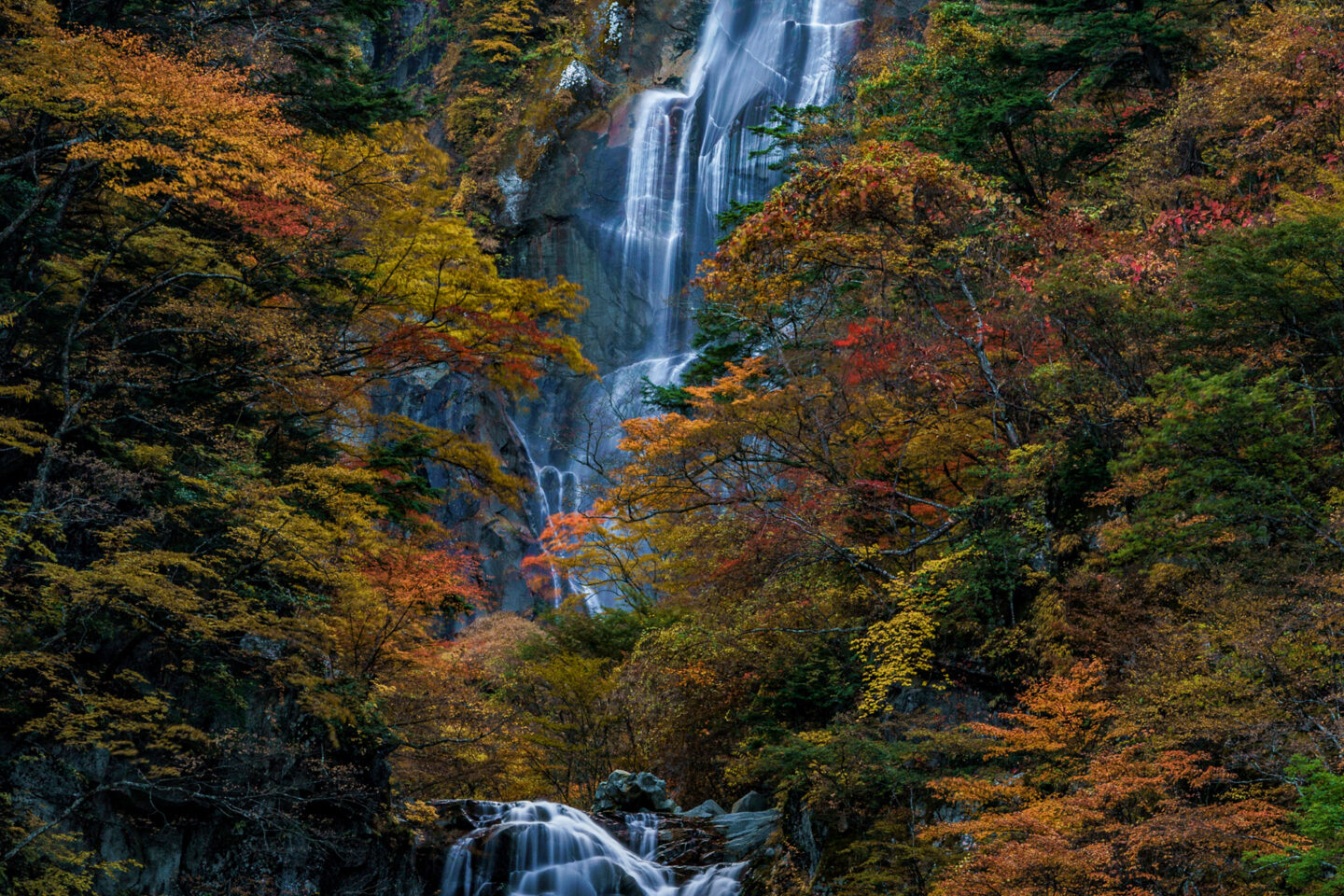 紅葉撮影でのフィルターワーク｜井上嘉代子