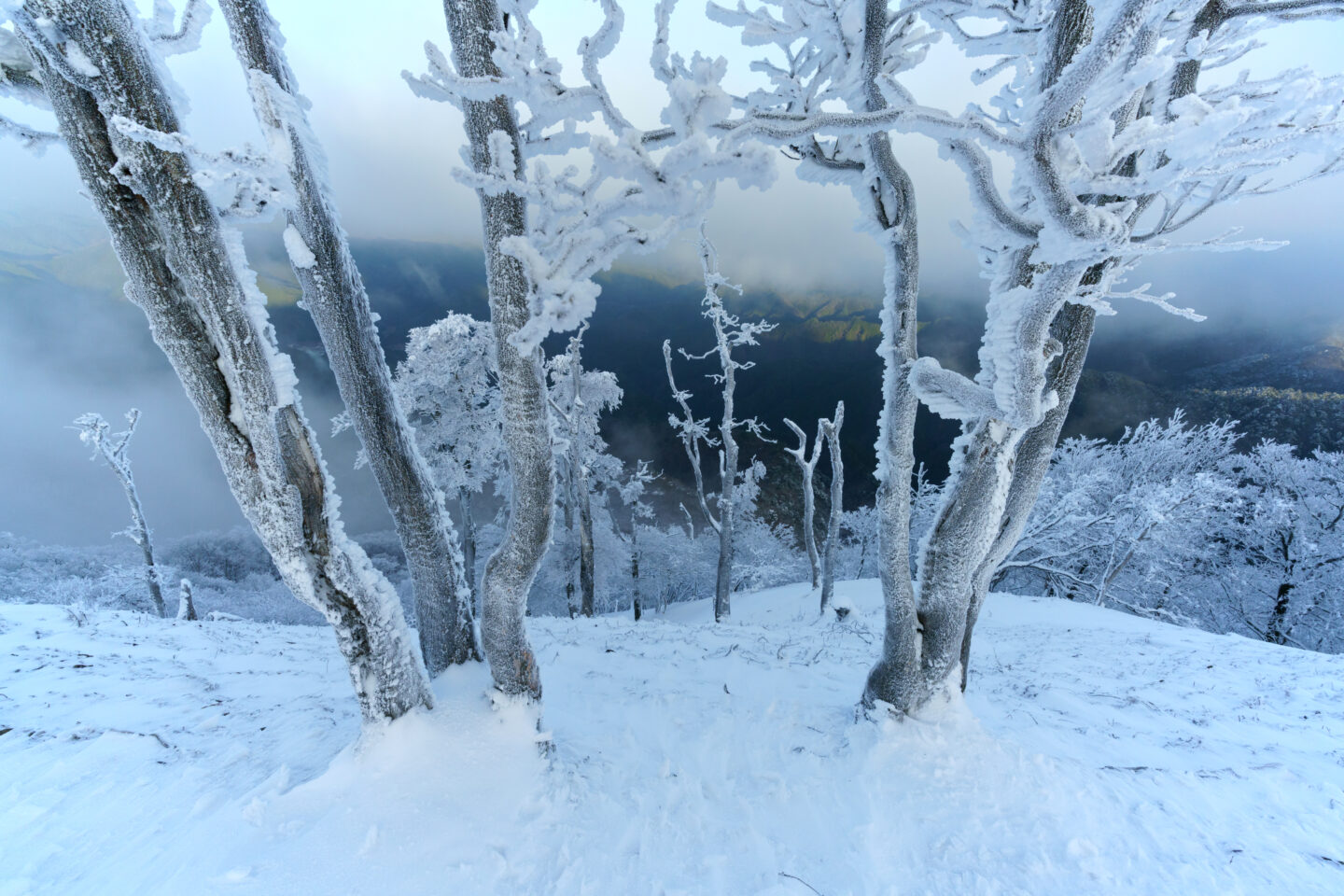 風景写真の引き出しを増やす！｜その4：構図 編