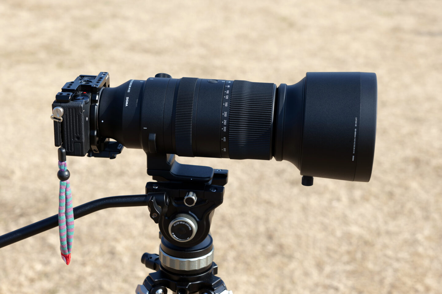 シグマ 60-600mm F4.5-6.3 DG DN OS Sports レビュー｜ミラーレス専用高倍率超望遠ズーム登場