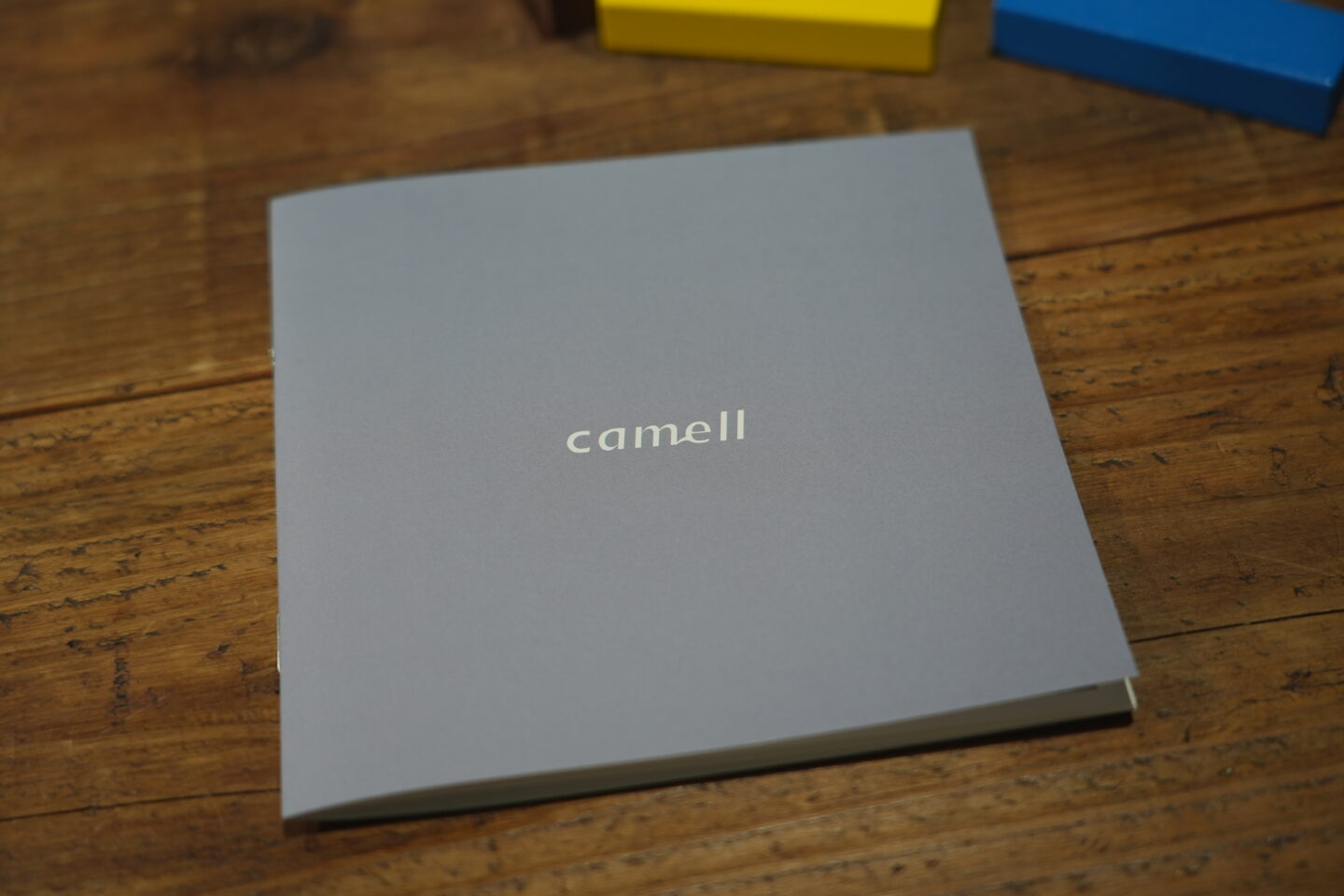 オトナ女子写真部「camell（カメル）」の魅力を探る！｜来場者参加型の写真展「つながる写真祭」スペシャルインタビュー