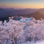 風景写真の引き出しを増やす！｜その8：冬景色撮影のポイント