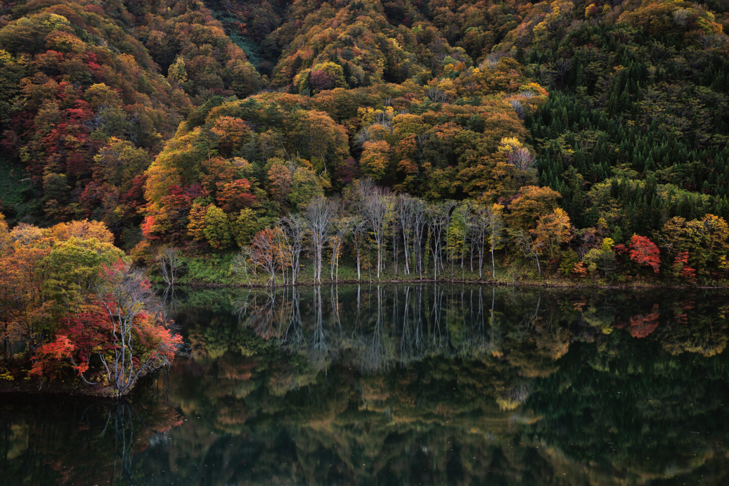 風景写真撮影テクニック～モニターキャリブレーション編～｜齋藤朱門