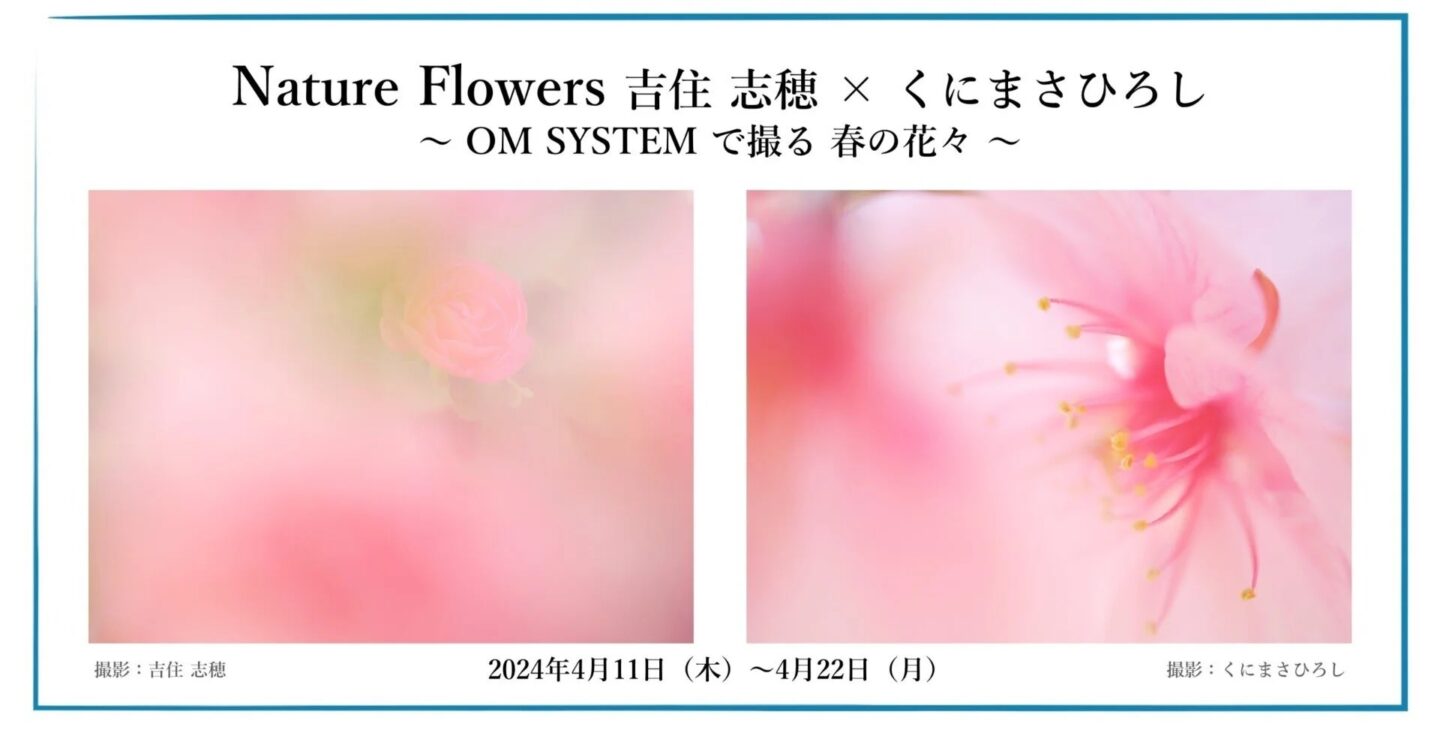 Nature Flowers　吉住志穂 × くにまさひろし 〜OM SYSTEM で撮る春の花々〜 2024年4月11日～22日 @OM SYSTEM PLAZA