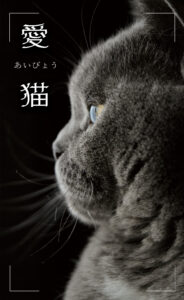 坂井田富三 写真展「愛猫（あいびょう）」 2024年8月28日～9月9日 @東京 ケンコー・トキナーギャラリー