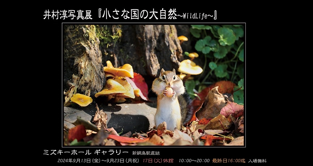 井村淳 写真展「小さな国の大自然～WildLife～」2024年9月13日～9月23日 @横浜 ミズキーホール ギャラリー