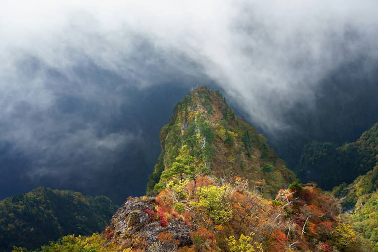 006_タムロン28-75mm F28 Di III VXD G2で撮影した作例.JPG