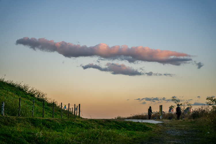 017_シグマ  28-70mm F28 DG DN  Contemporaryで撮影した作例.jpg