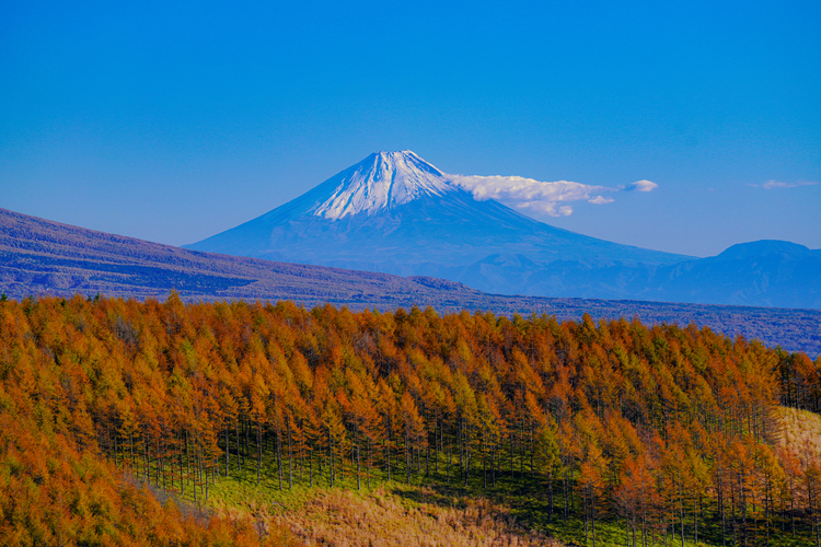 021_ソニー FE 70-200mm F28 GM OSS IIで撮影した作例.jpg