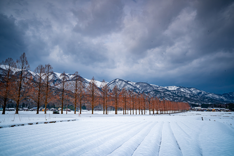 02_24mm F3.5 DG DN Contemporaryで撮影した風景の作例.jpg