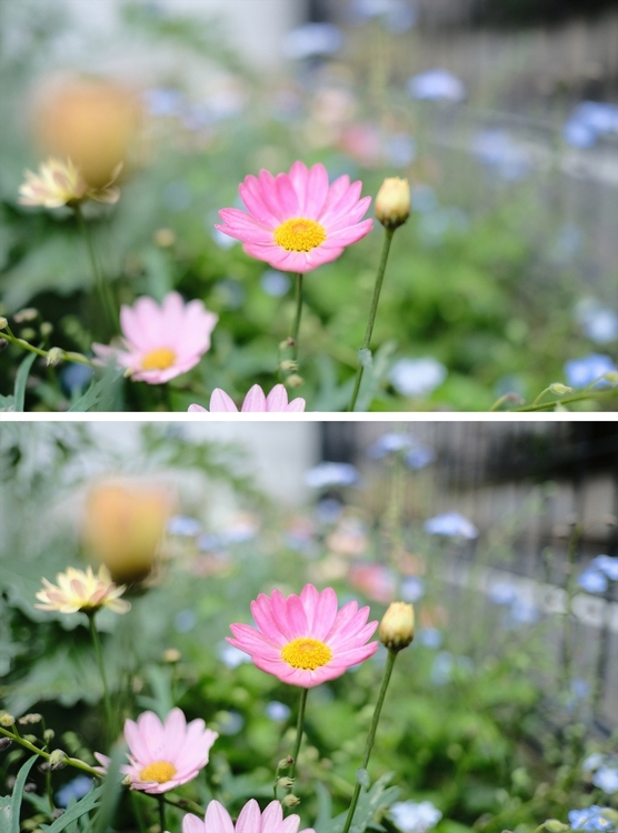 05 18mm F1.4とF2.0の比較.jpg