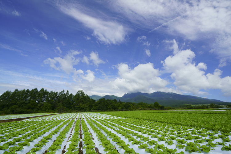 09_風景.JPG