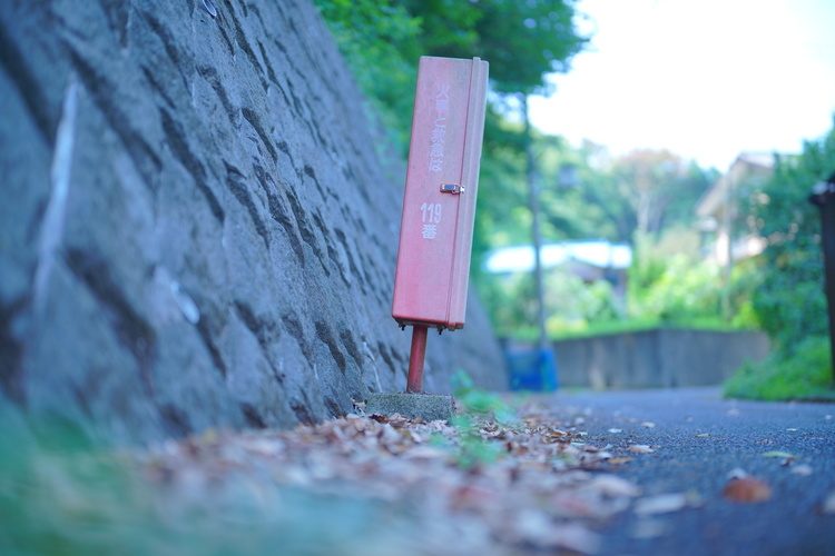 FE 50mm F1.2 GM作例