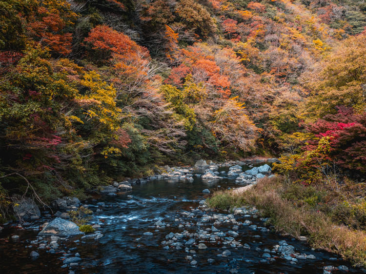 13_オリンパス M.ZUIKO DIGITAL ED 20mm F1.4 PROで撮影した作例.jpg