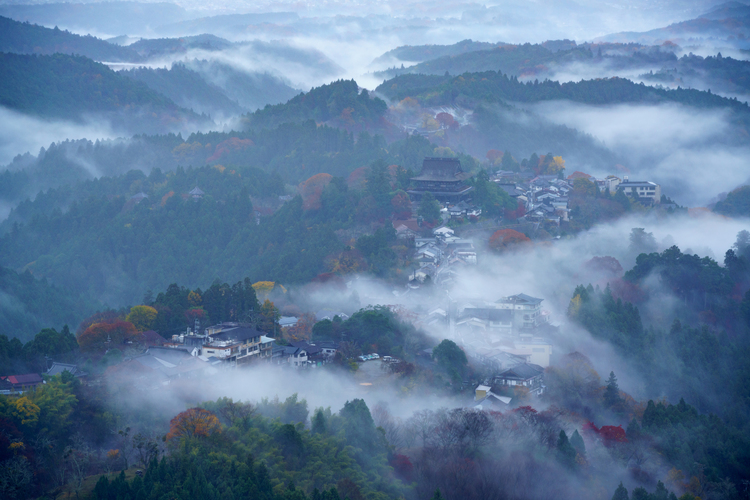 13_作例_144 mm_1-10 秒 (f - 8.0)_ISO 400.jpg