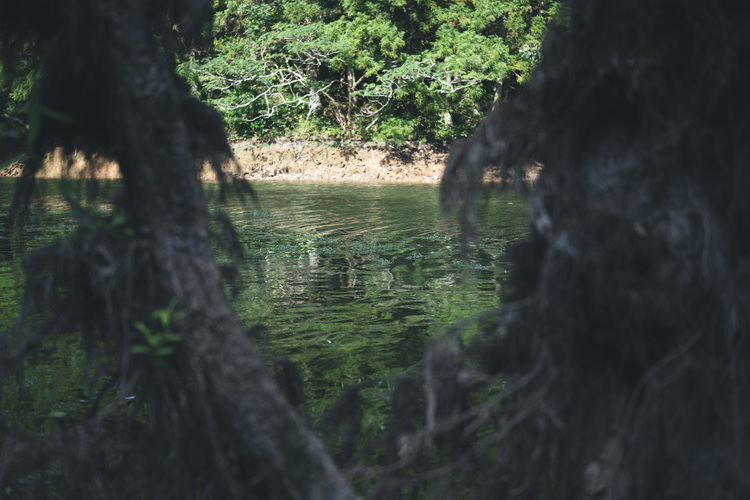 19_シグマ45mm F2.8 DG DN  Contemporaryでの作例.jpg