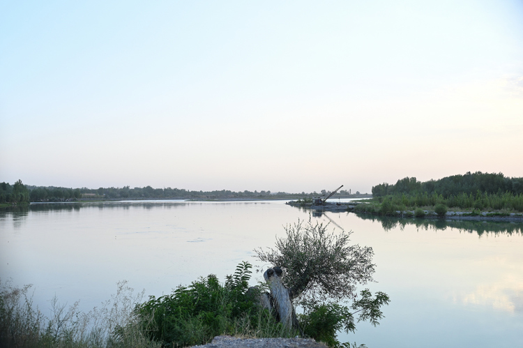 林典子写真展「If apricot trees begin to bloom」