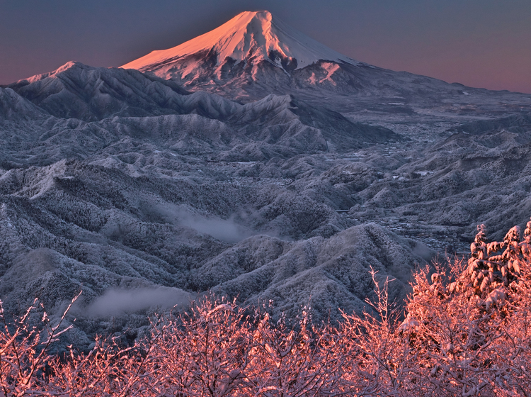 5_竹端 榮「雪化粧の朝」.jpg