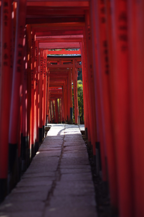 アサヒペンタックス SMC Takumar 105mm  F2.88.JPG