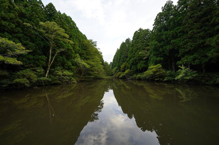 湖と木を撮影(反射).jpg