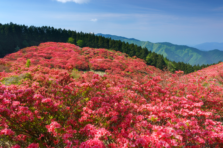 レンズワークを極めて風景写真をグレードアップ！04.JPG