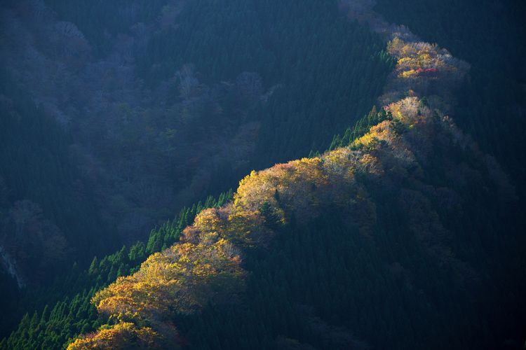 レンズワークを極めて風景写真をグレードアップ！07.JPG