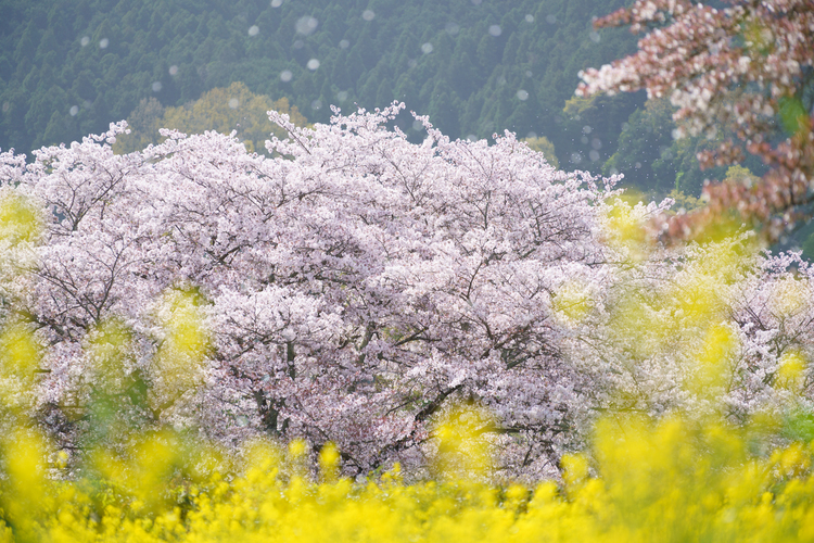 レンズワークを極めて風景写真をグレードアップ！26.JPG