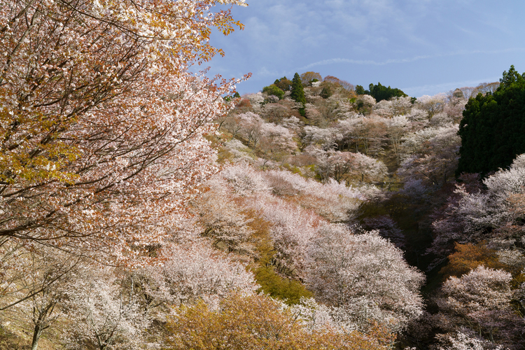 レンズワークを極めて風景写真をグレードアップ！_02.JPG