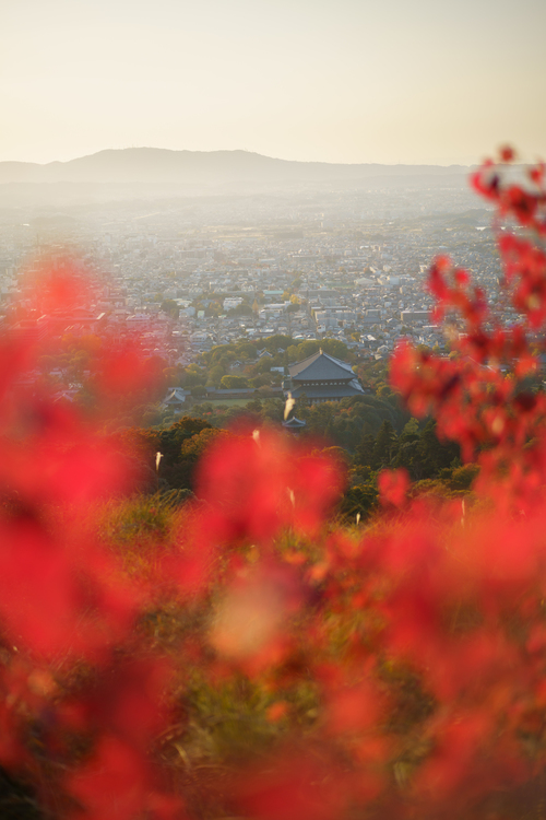 単焦点レンズで風景写真の表現力をアップ！｜高橋良典004.JPG