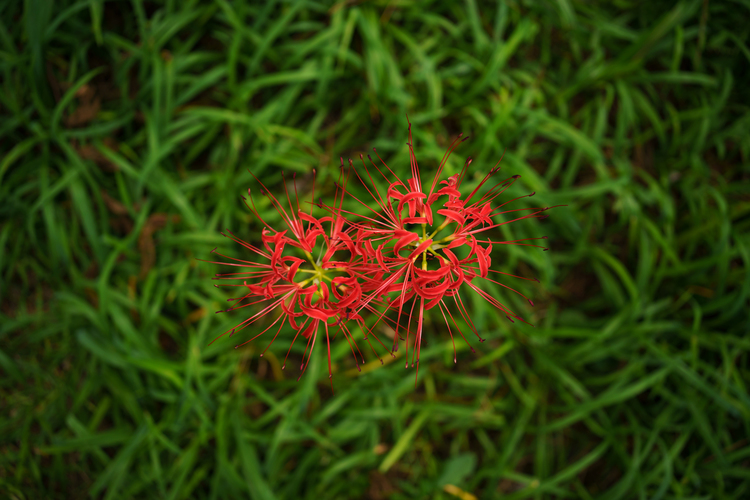 単焦点レンズで風景写真の表現力をアップ！｜高橋良典009.JPG