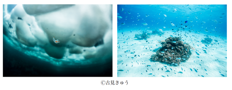 古見きゅう写真展「JAPAN’S SEA」