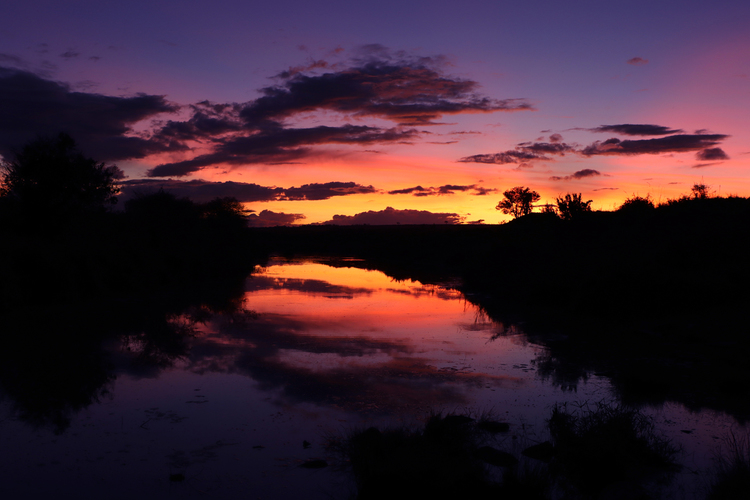 夕景の画像.JPG