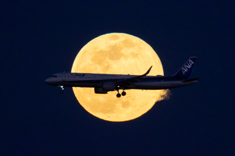 航空機の写真_A50_008.jpg