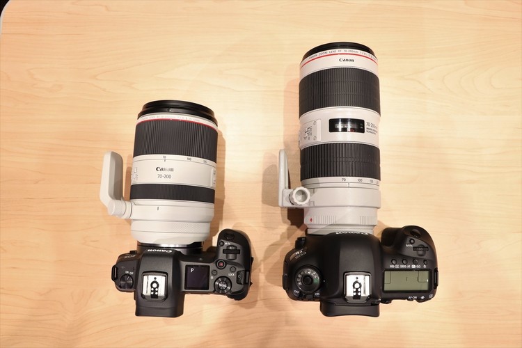 RF70-200mmとEF70-200mmIIIを並べて撮影した写真.JPG